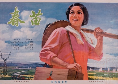 马斯特里赫特美术学院Diploma in Public Administration